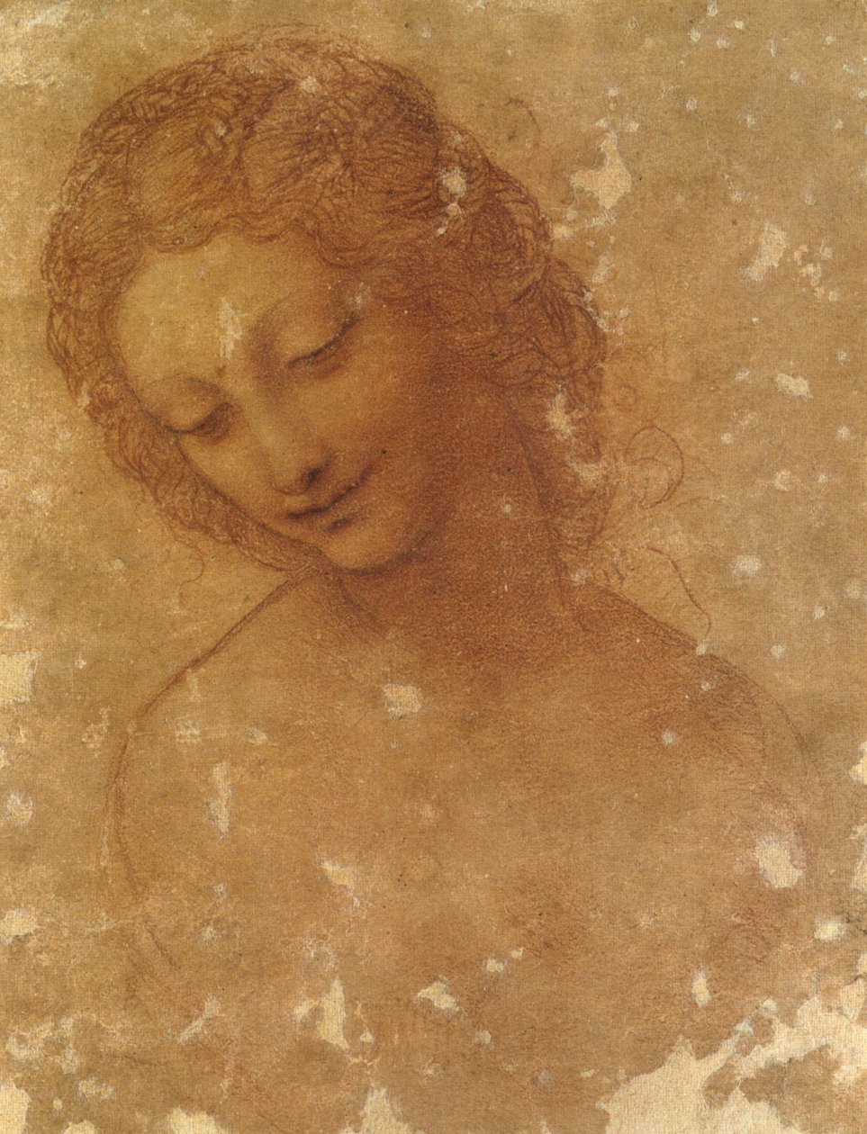 głowa leda, zamek sforzesco autorstwa Leonardo da Vinci