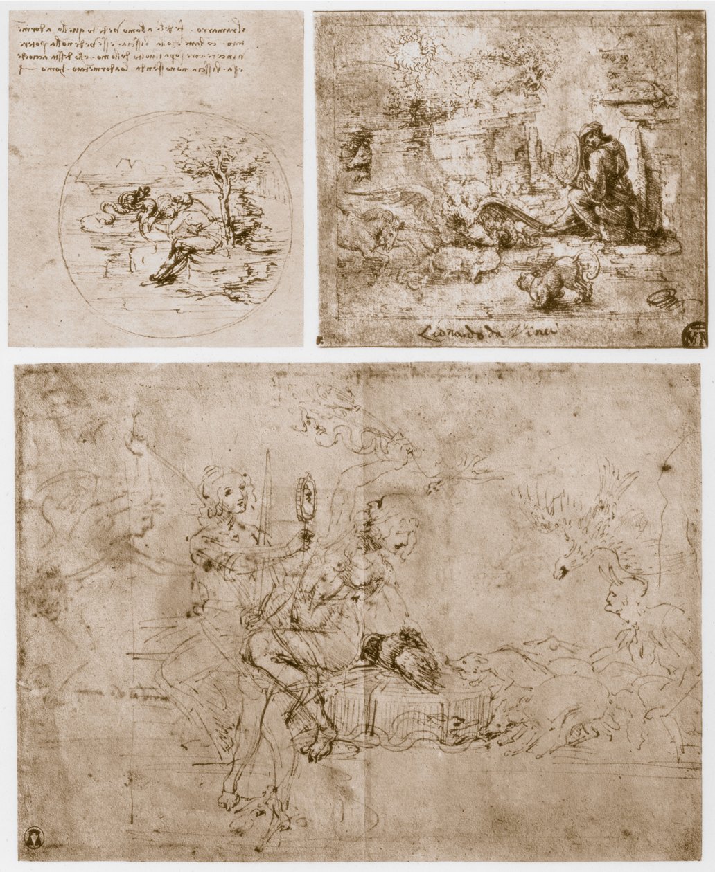 Alegorie, XV wiek. autorstwa Leonardo da Vinci