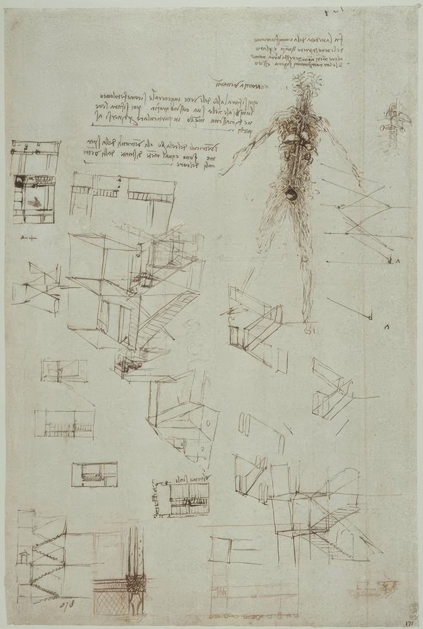Anatomiastudia autorstwa Leonardo da Vinci