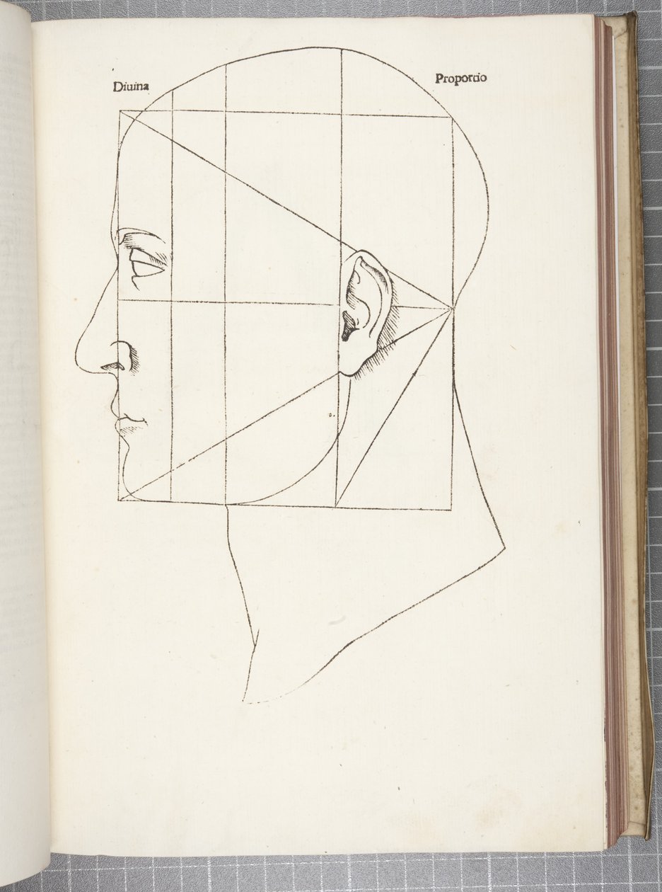 Boska proporcja autorstwa Leonardo da Vinci
