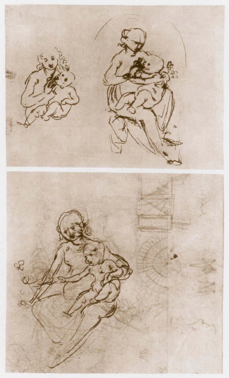 Madonna z Kwiatem, c1478. autorstwa Leonardo da Vinci