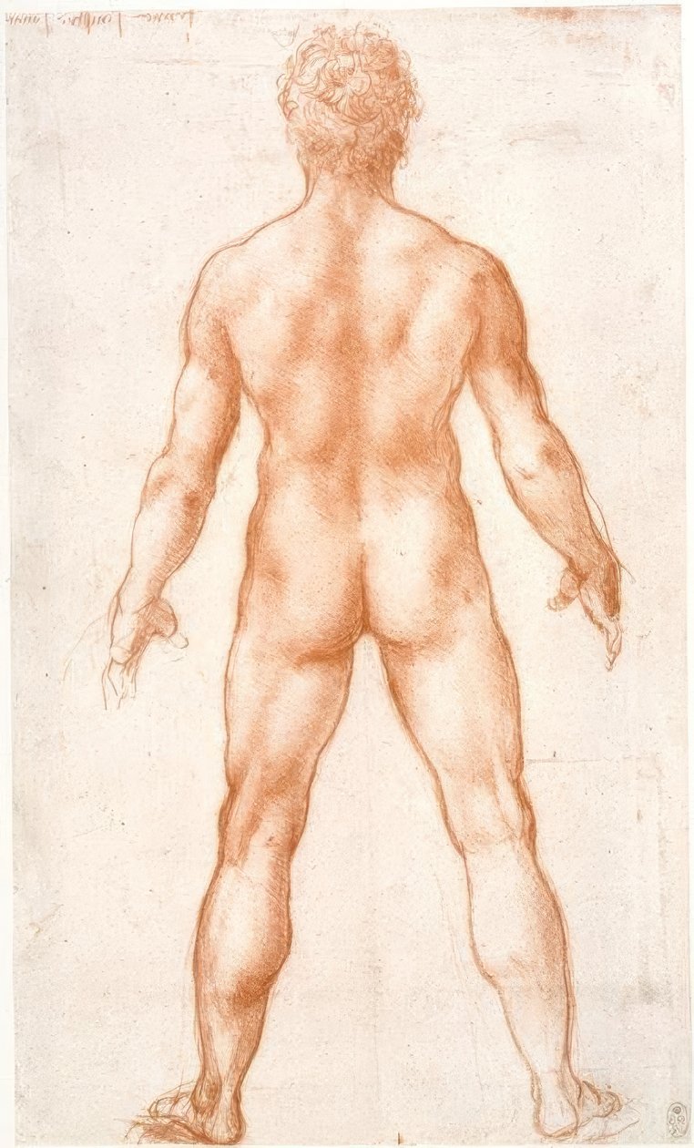 Akt męski od tyłu autorstwa Leonardo da Vinci