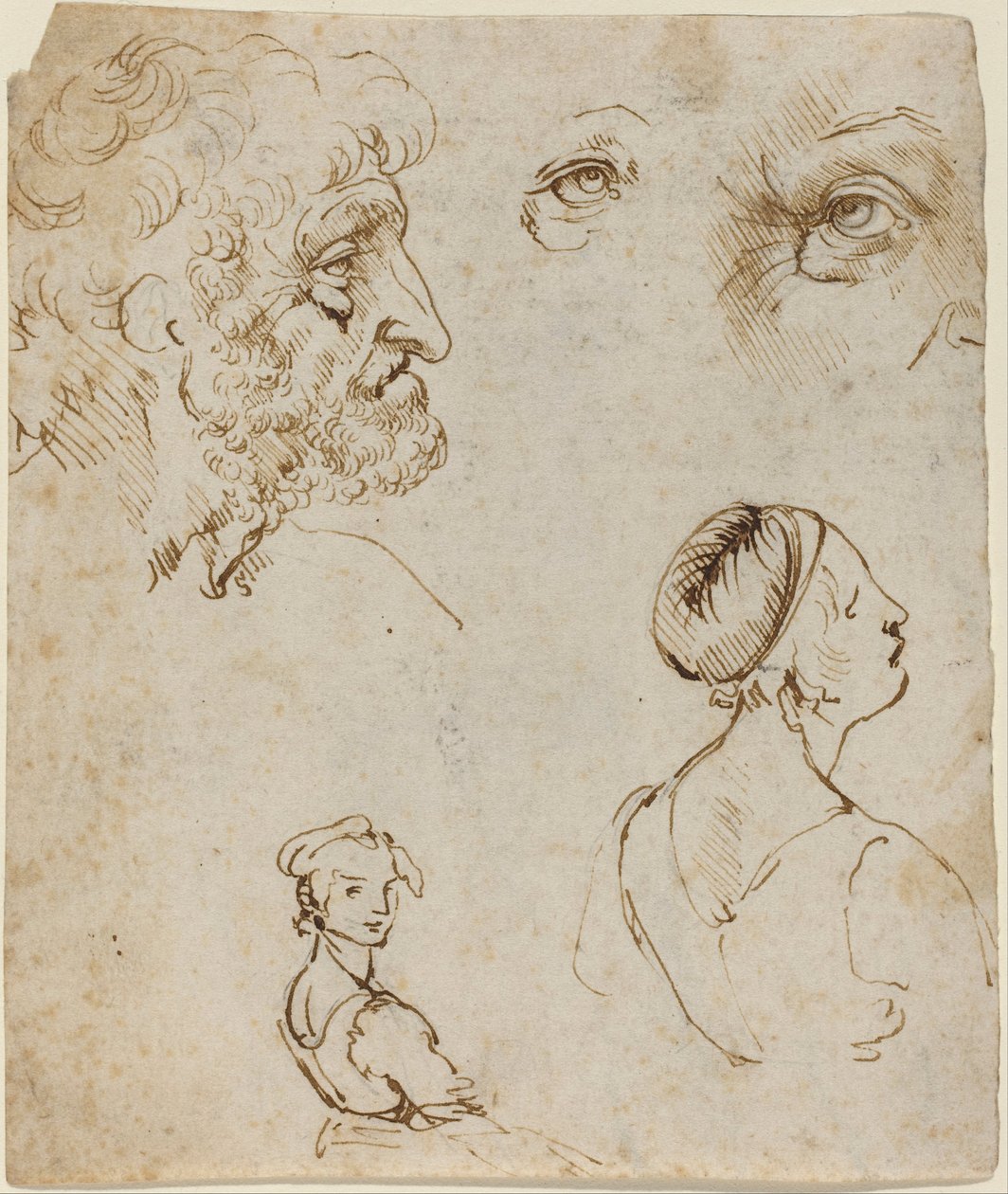 Arkusz badań [recto] autorstwa Leonardo da Vinci