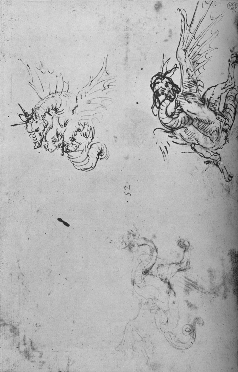 Studia smoka, ok. 1480 1945 autorstwa Leonardo da Vinci