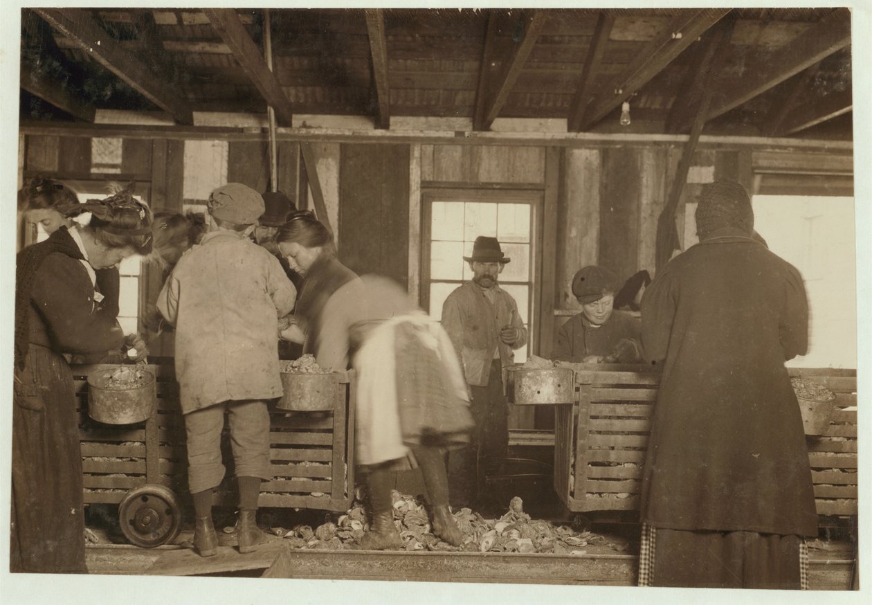 10-letni Mike Murphy, 7-letnia Annie Healy i 10-letni Ross Healy (który pracuje od 2 lat) w szopie w Alabama Canning Co, Bayou La Batre, Alabama, 1911 autorstwa Lewis Wickes Hine