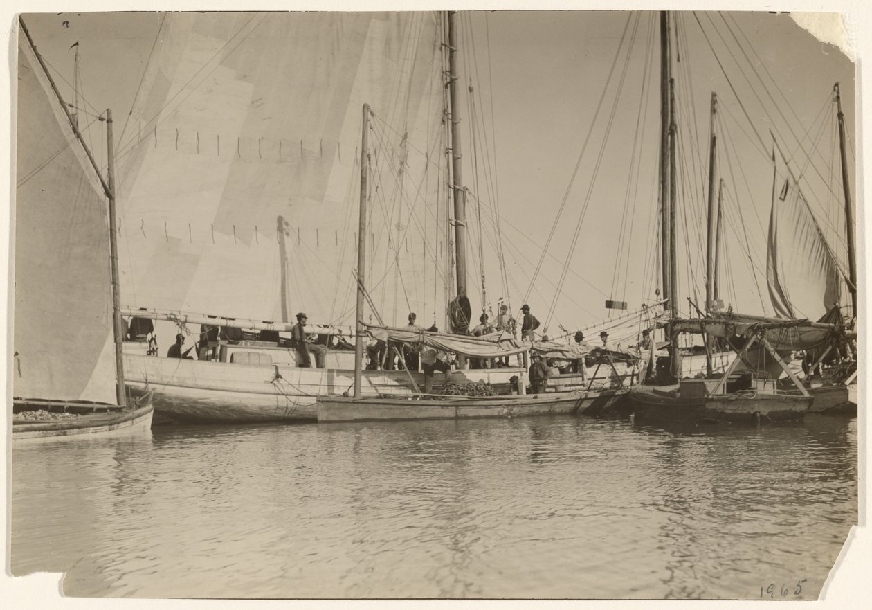[Łodzie ostrygowe, zatoka Mobile, Alabama]. autorstwa Lewis W. Hine