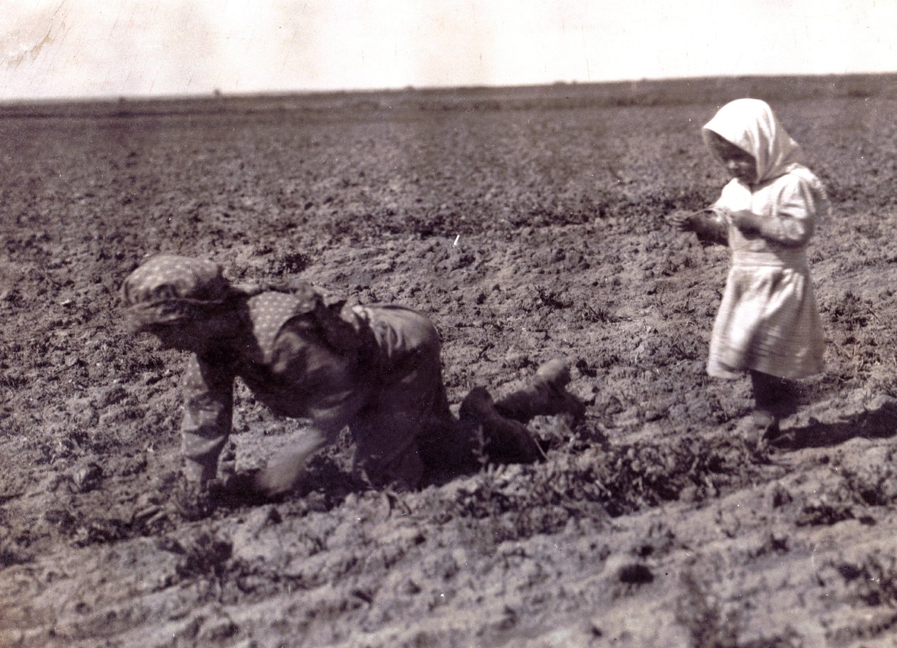 Nieznany obraz autorstwa Lewis Wickes Hine