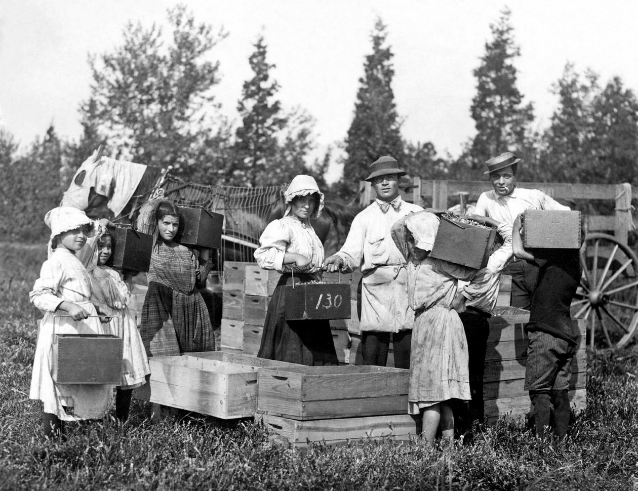 Nieznany obraz autorstwa Lewis Wickes Hine