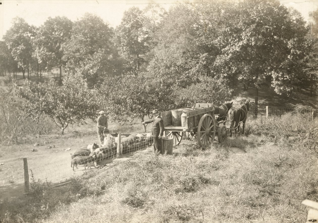 Bez tytułu, ca. 1935. autorstwa Lewis Wickes Hine