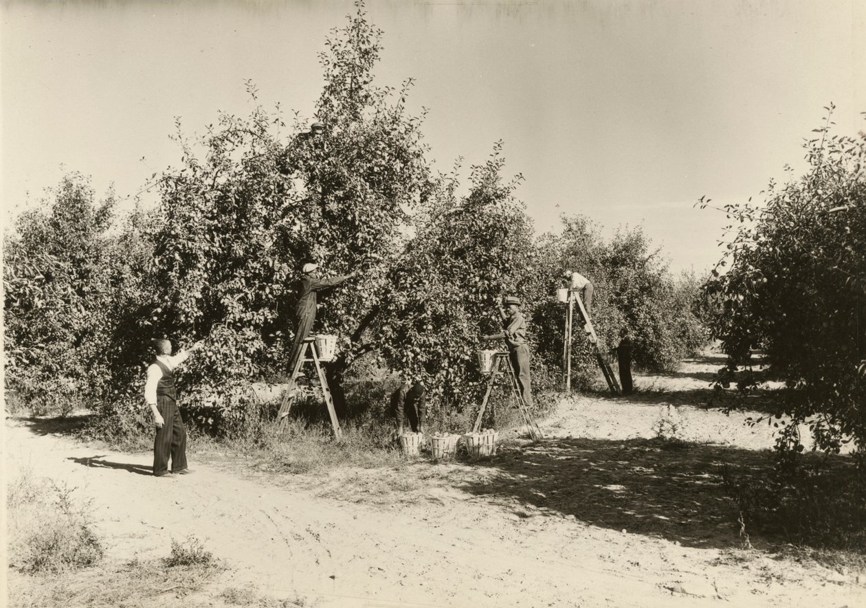 Bez tytułu, ca. 1935. autorstwa Lewis Wickes Hine