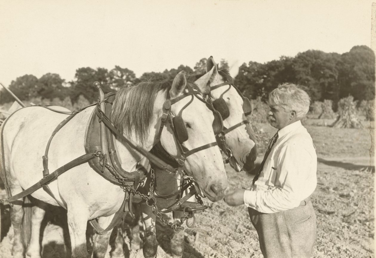 Bez tytułu, ca. 1935. autorstwa Lewis Wickes Hine