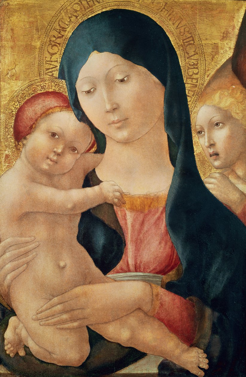 Dziewica z Dzieciątkiem z Aniołem, c.1468-70 (tempera na panelu) autorstwa Liberale da Verona