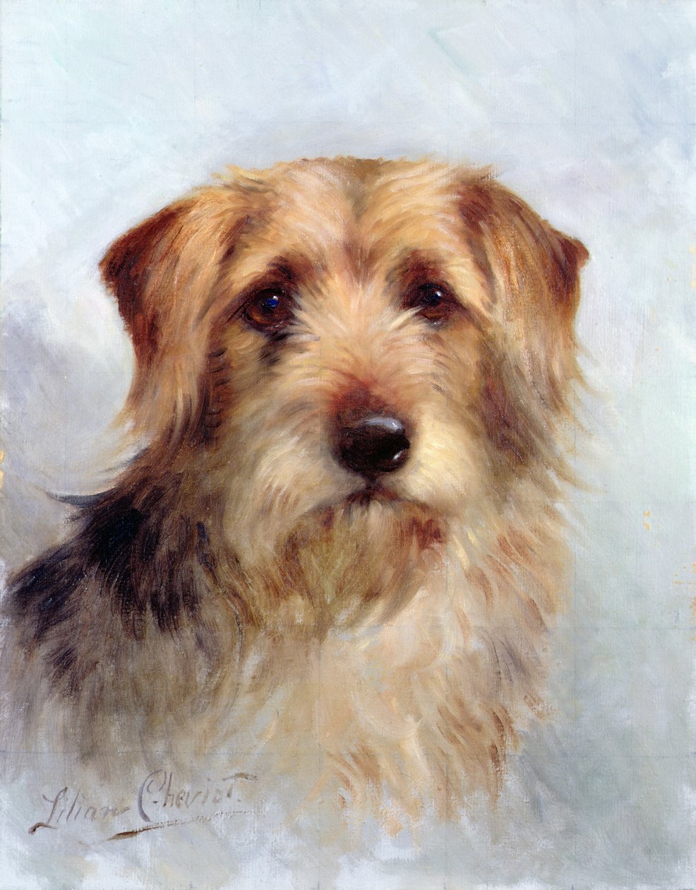 Jeden z Rodziny autorstwa Lilian Cheviot