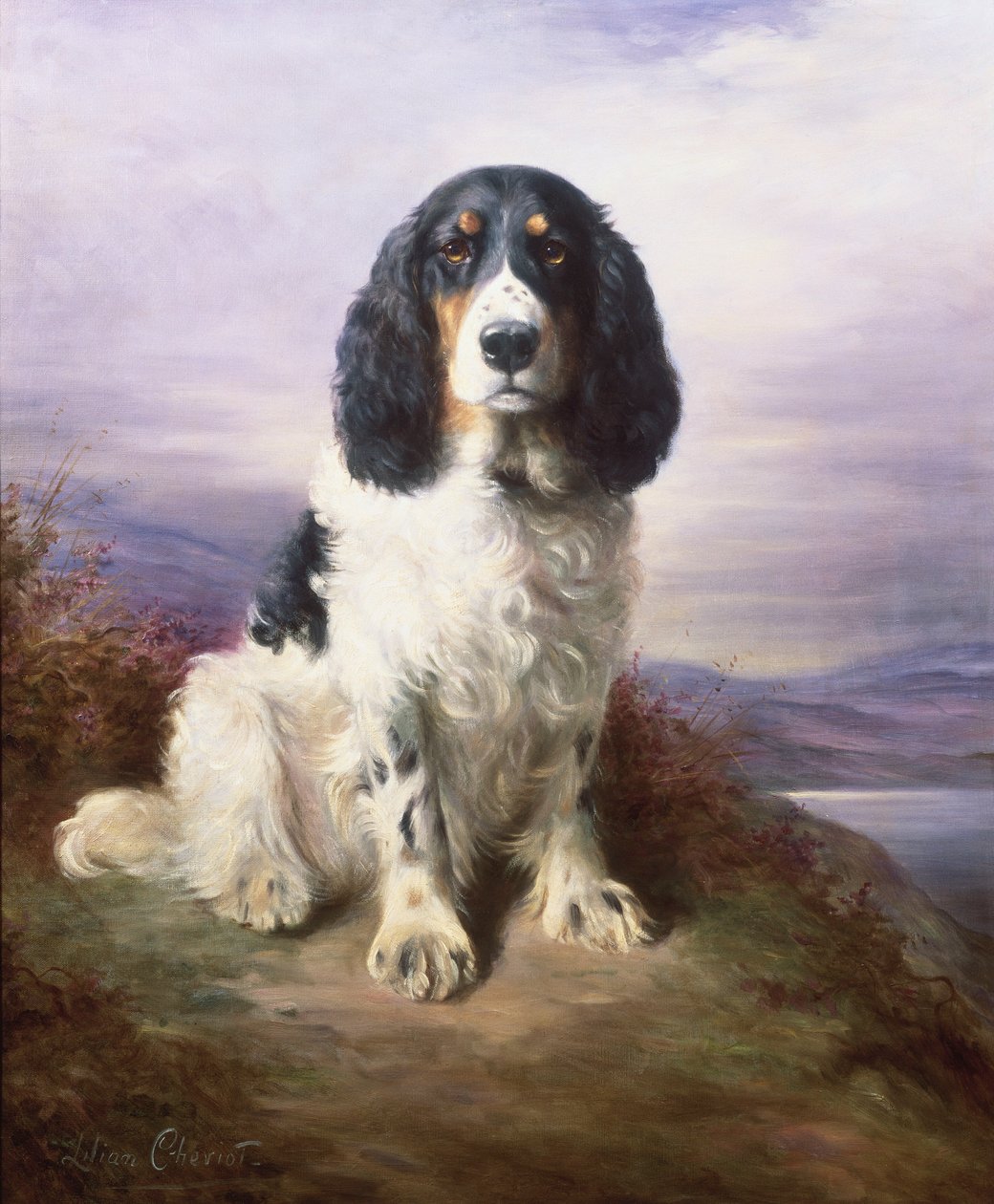 Royal, trzykolorowy pracujący springer spaniel autorstwa Lilian Cheviot