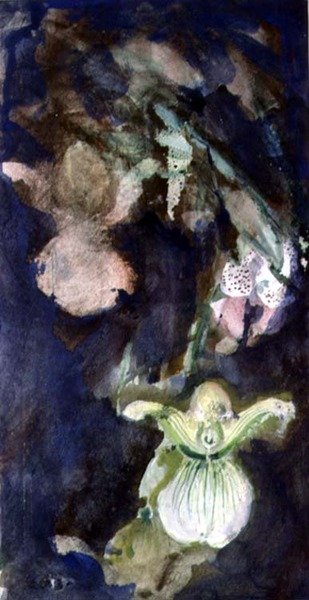 pantofel storczyki autorstwa Lily Blatherwick