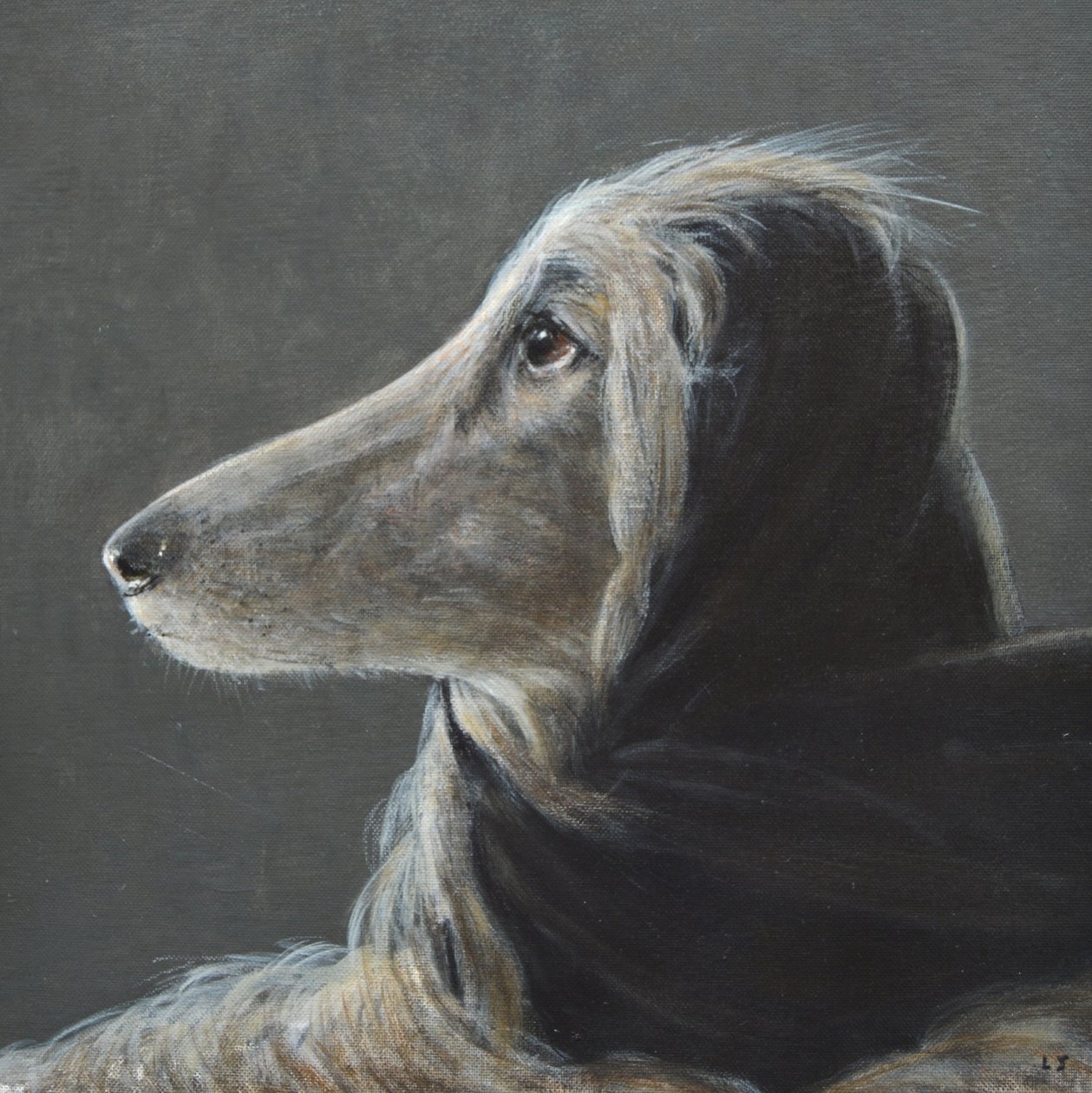Afghan at Speed, Gray autorstwa Lincoln Seligman
