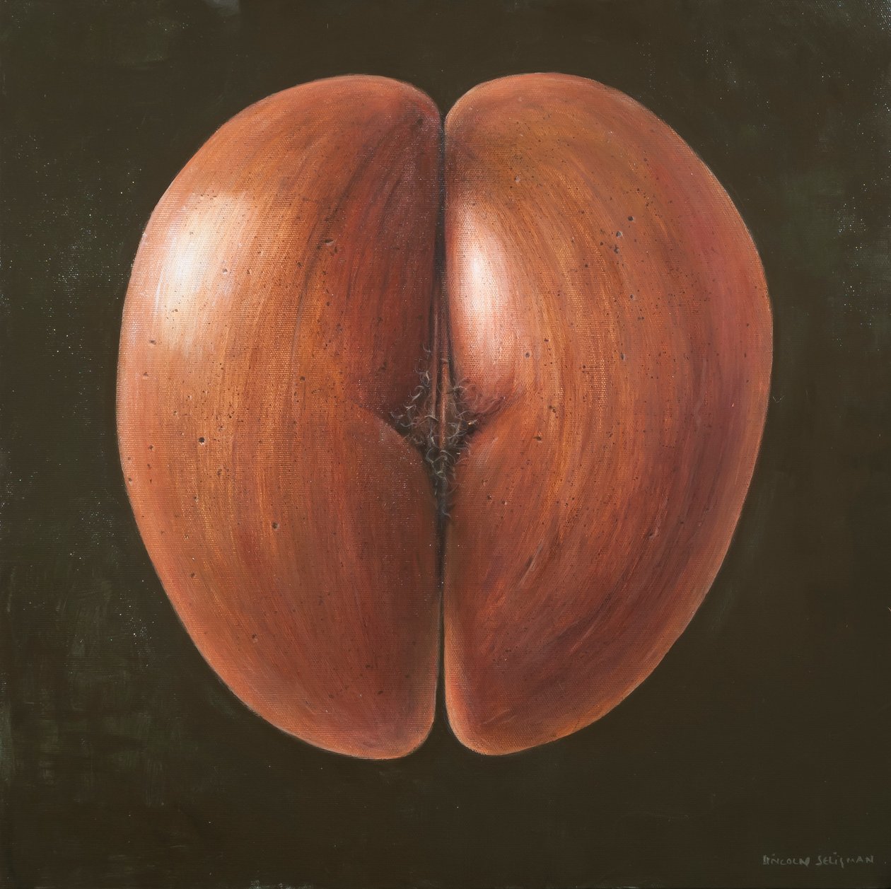 Coco de Mer, Malediwy, 2012 (akryl na płótnie) autorstwa Lincoln Seligman