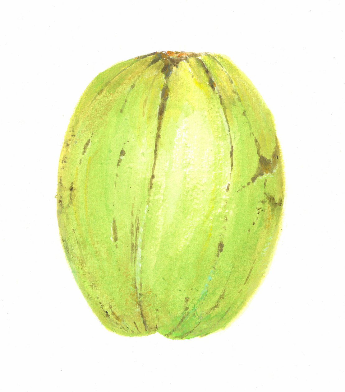 Kokos, Sri Lanka, 2015 autorstwa Lincoln Seligman