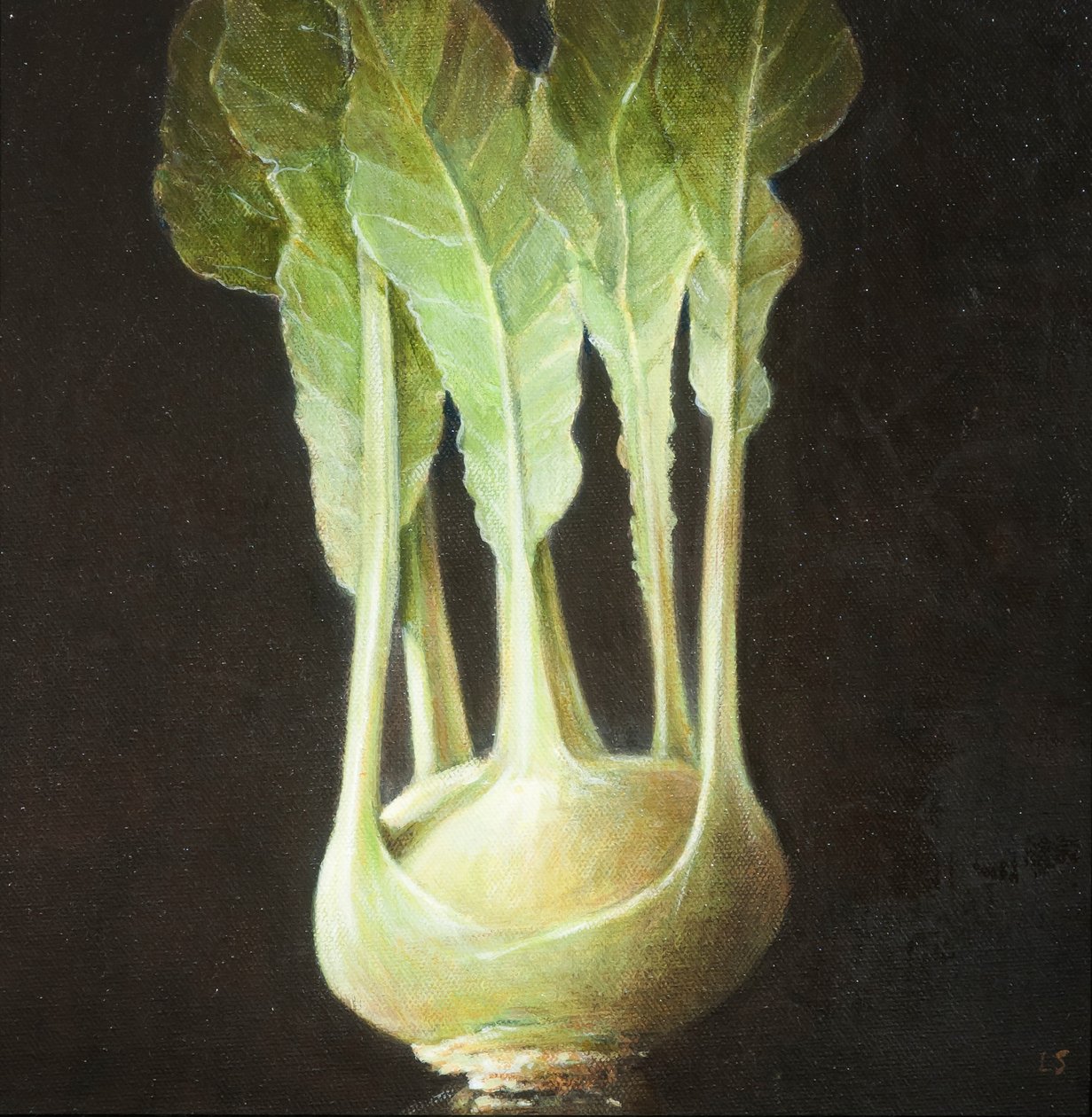Kohl Rabi, 2012 (akryl na płótnie) autorstwa Lincoln Seligman