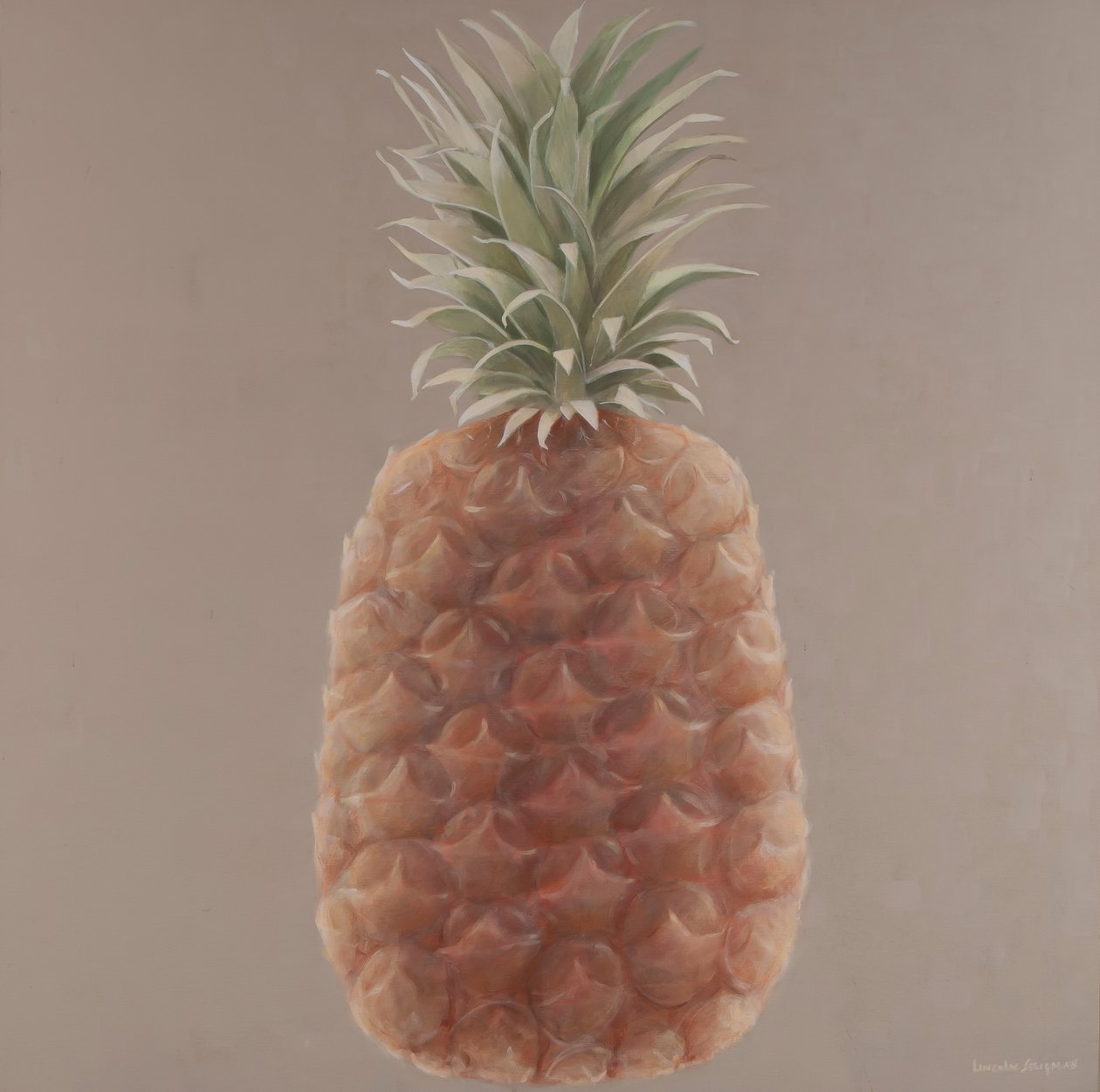 Ananas, 2012 (akryl na płótnie) autorstwa Lincoln Seligman