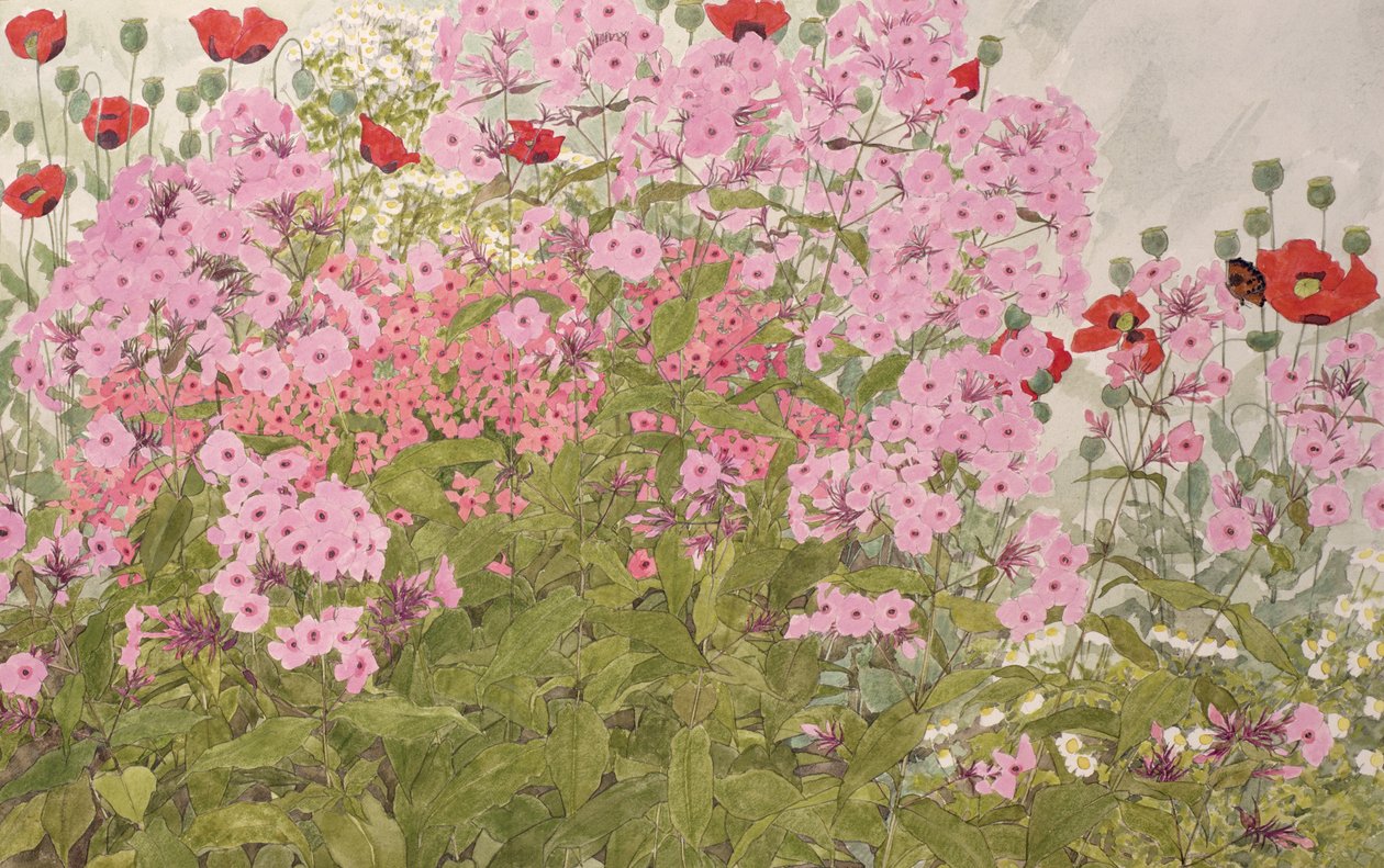 Floks różowy i maki z motylem (wc na papierze) autorstwa Linda Benton