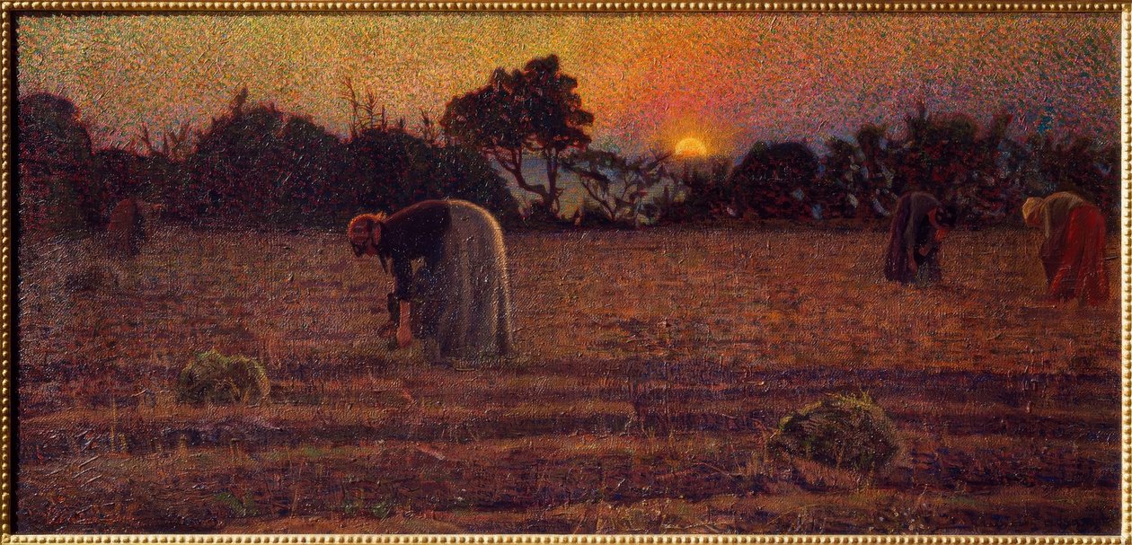 Gramignaie autorstwa Llewelyn Lloyd