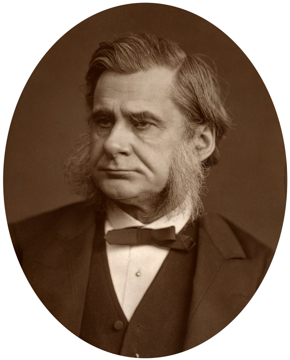 Profesor Thomas Henry Huxley, 1880. autorstwa Lock and Whitfield