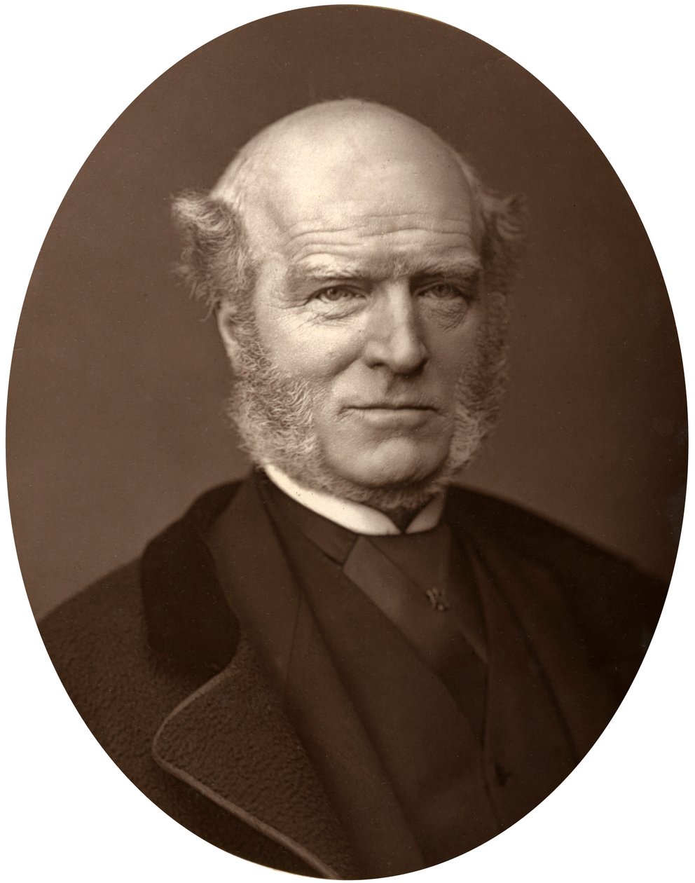 Thomas Hughes, 1880. autorstwa Lock and Whitfield