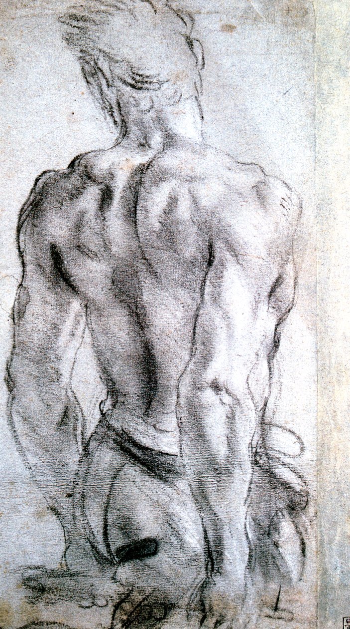 Studium postaci, c1560-1609 autorstwa Lodovico Carracci