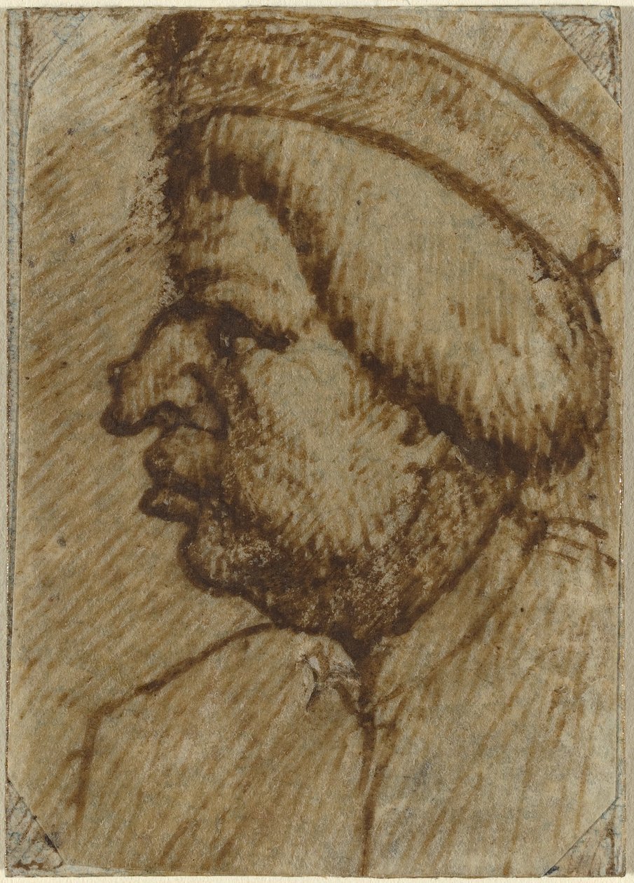 Profil mężczyzny autorstwa Lombard 16th Century
