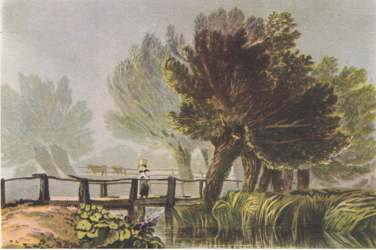 Llandrindod: Jesiony na wiosnę, Nature in Britain, wydane przez Collins, 1946 autorstwa Lonsdale Ragg