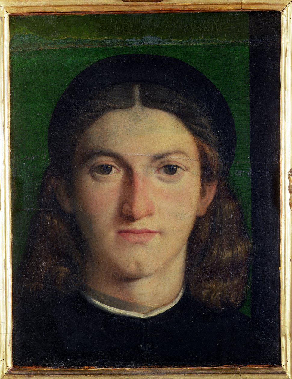 Portret młodego mężczyzny, ok.1505 autorstwa Lorenzo Lotto