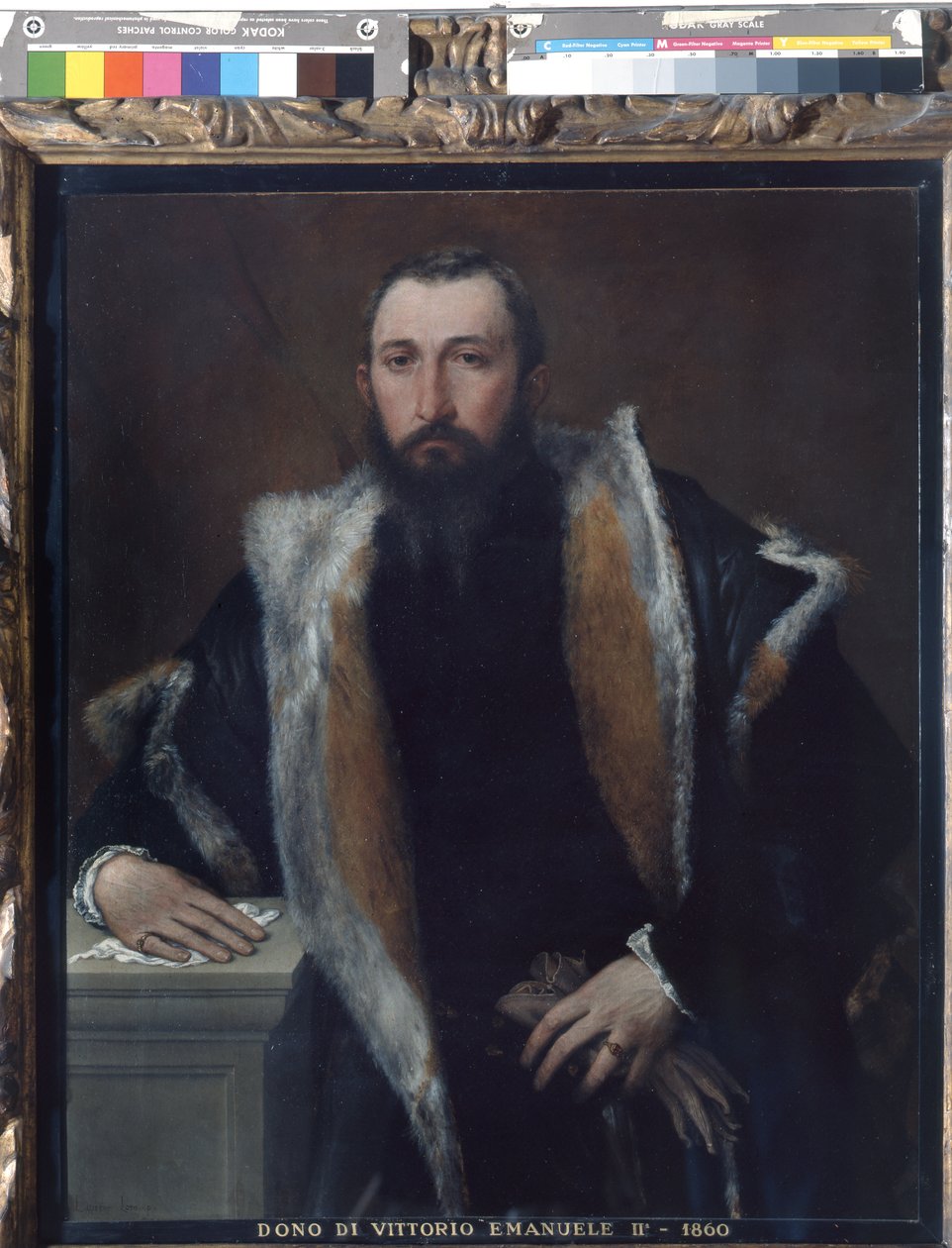 Portret Febo z Brescia autorstwa Lorenzo Lotto