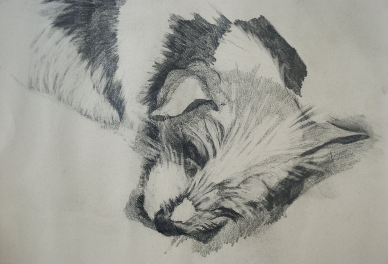 Jacka Russela, 2015, autorstwa Lou Gibbs