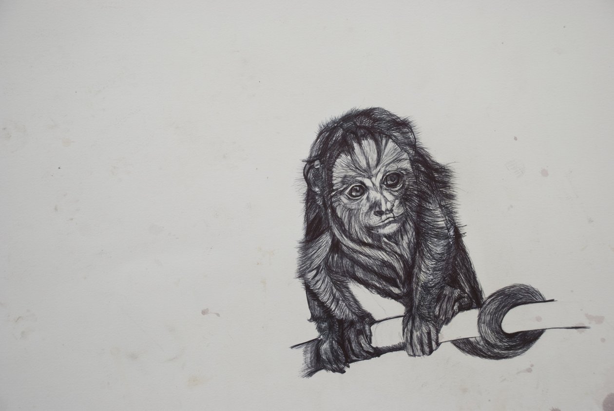 Monkey Business, 2016, (biro biro na papierze) autorstwa Lou Gibbs
