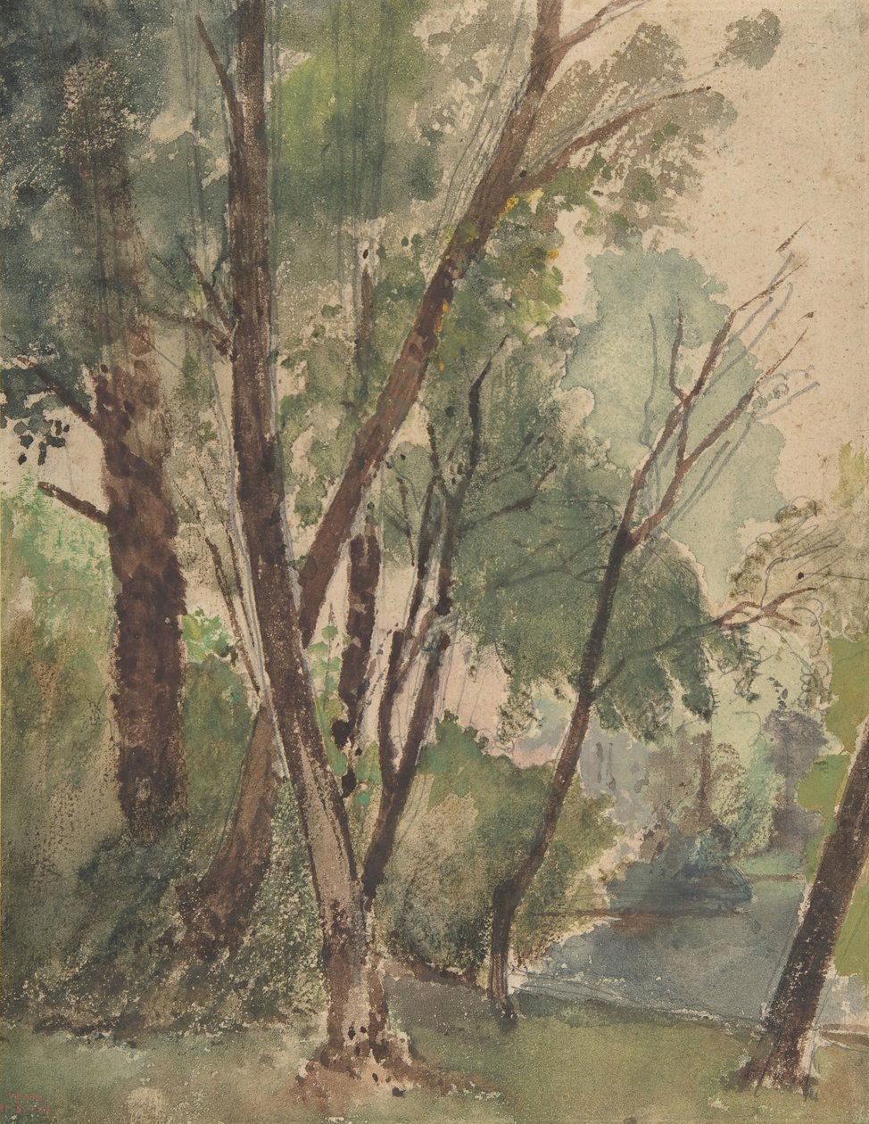 Drzewa nad stawem, 1853-1878. autorstwa Louis Antoine Leon Riesener
