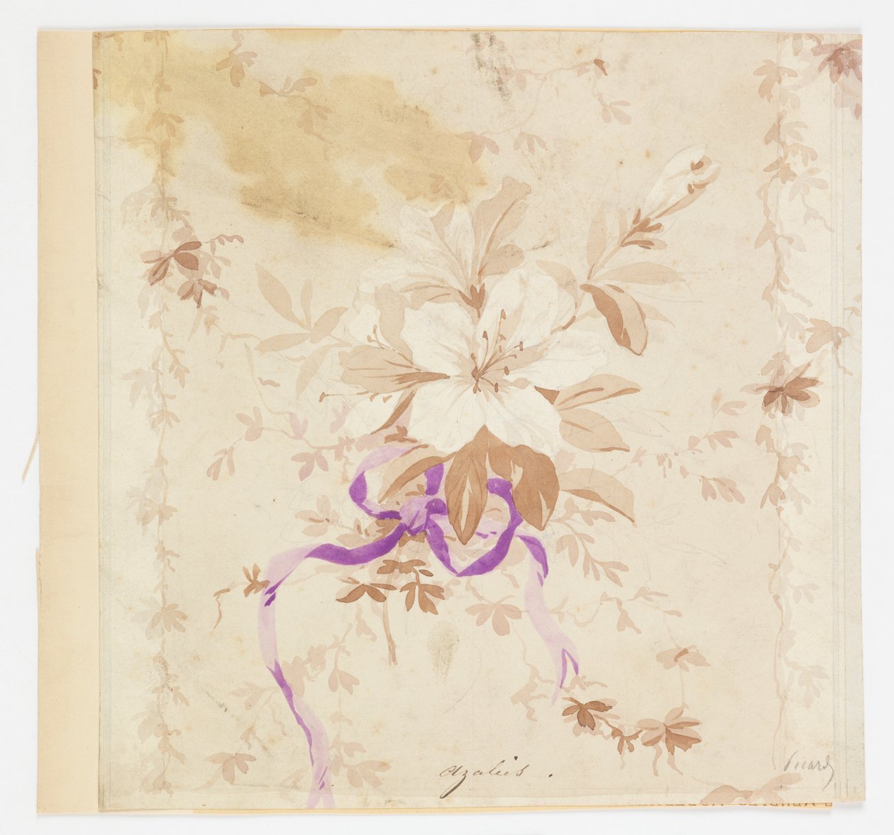 Azalia (Azalie) autorstwa Louis Apollinaire Sicard