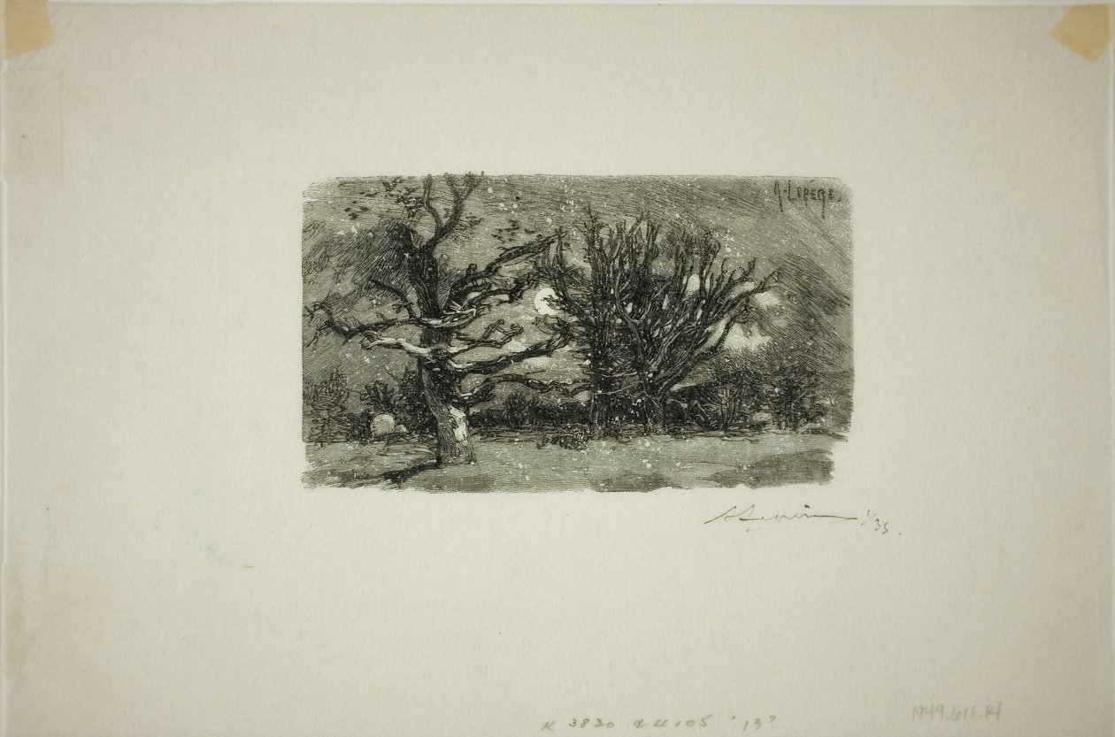 Au Dormoir de Lantara autorstwa Louis Auguste Lepère