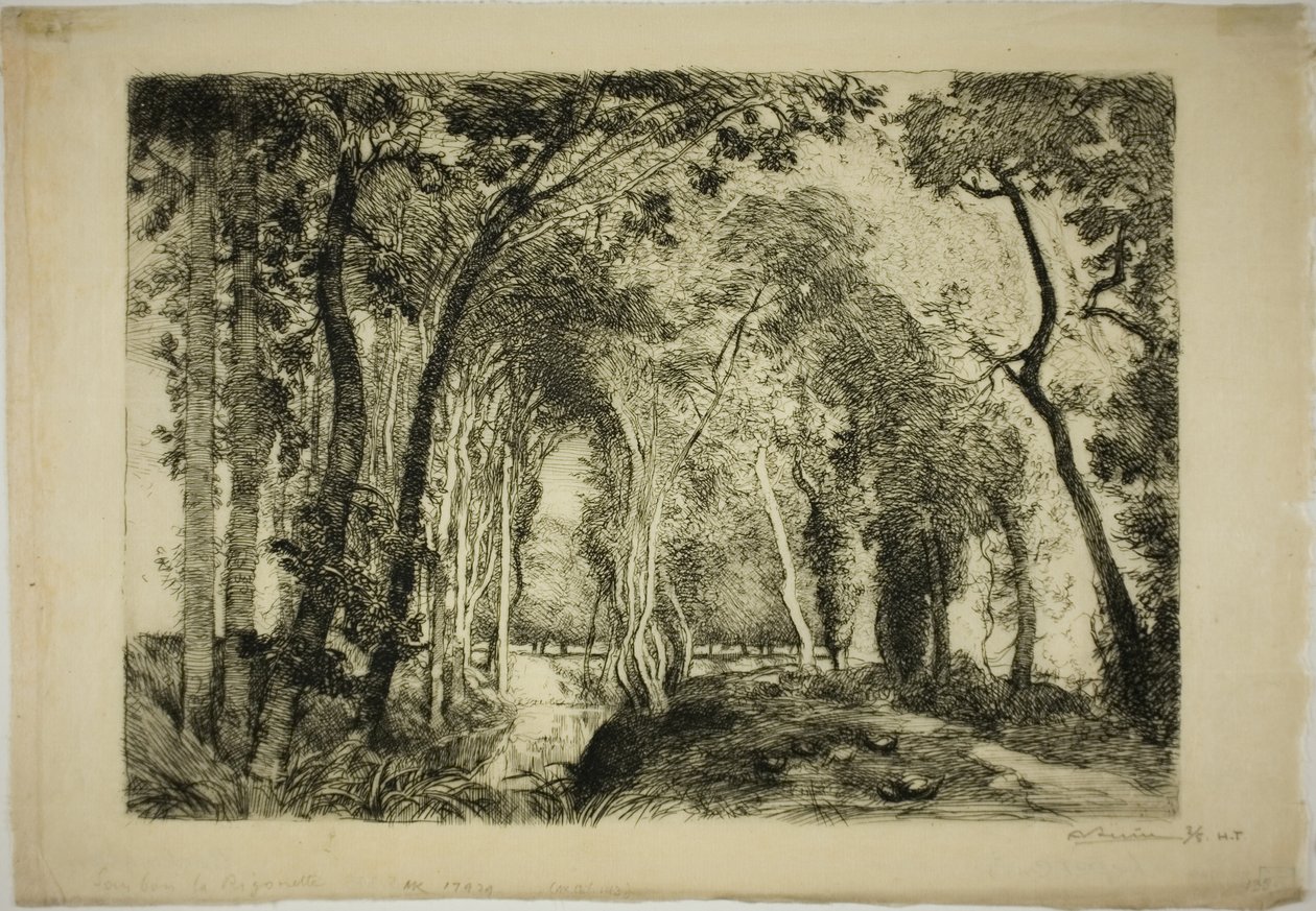 Sous Bois, w Rigonette autorstwa Louis Auguste Lepère
