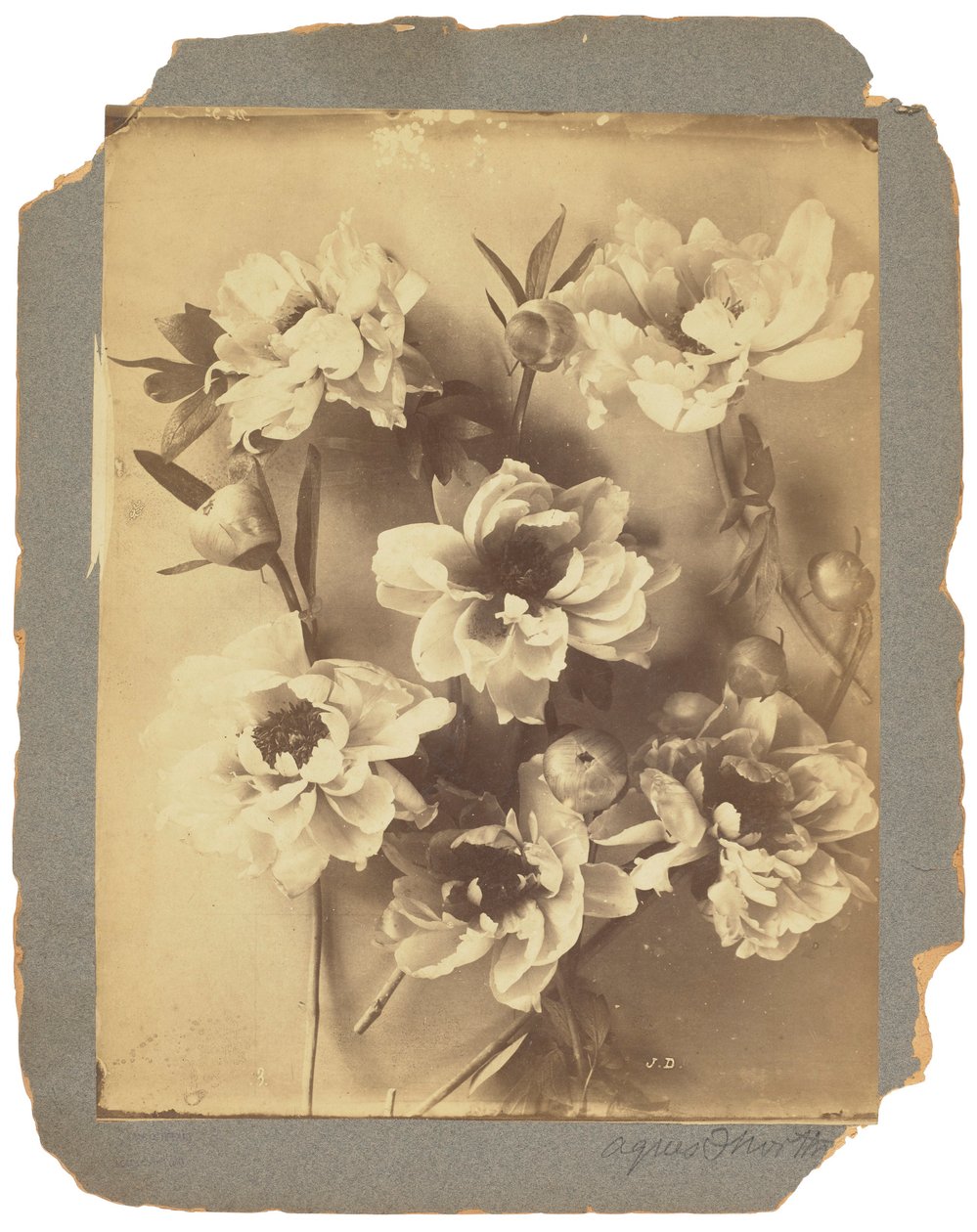 Tiffany Studios, ok. 1898-1920 (fotografia czarno-biała) autorstwa Louis Comfort Tiffany