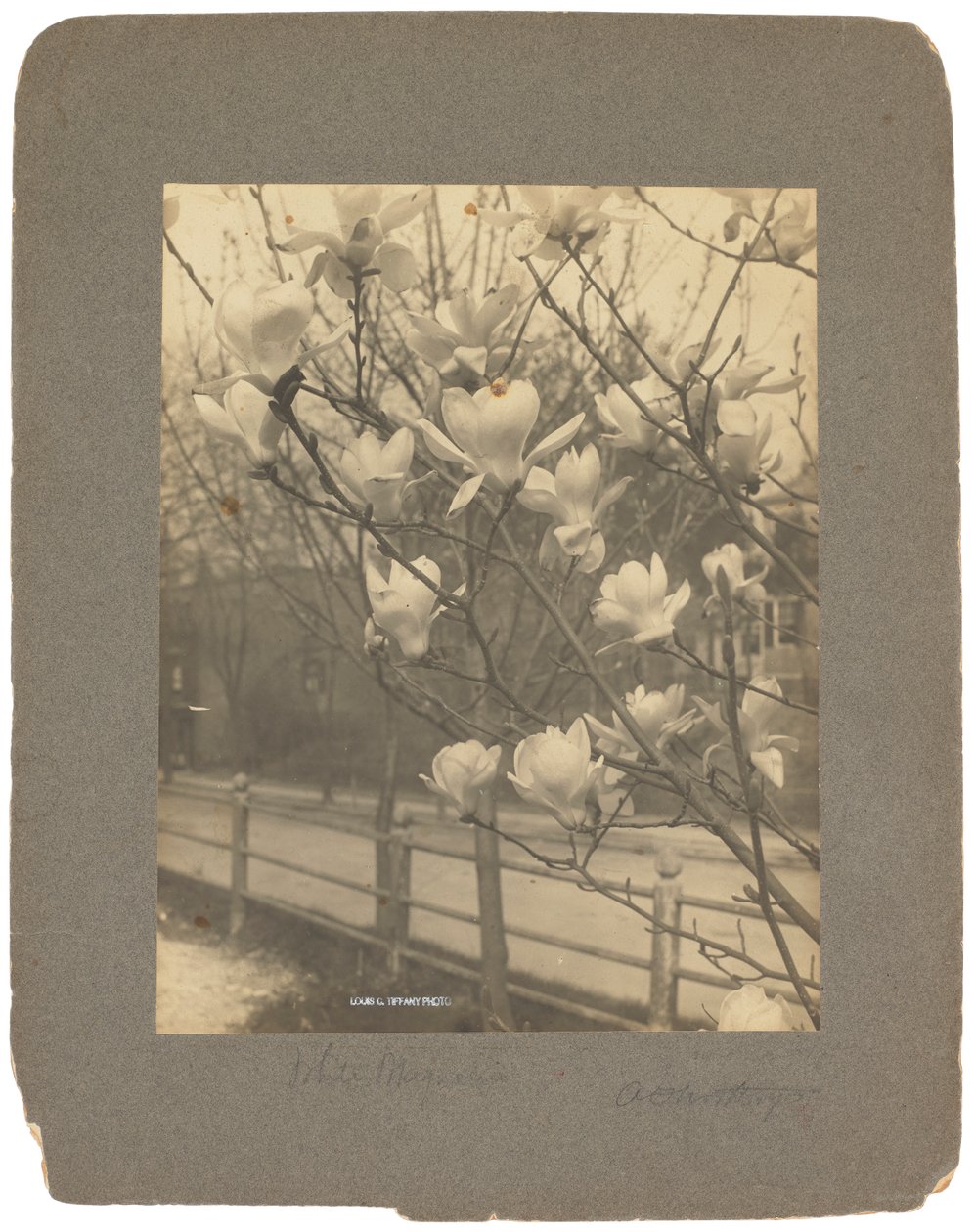 Tiffany Studios, ok. 1898-1920 (fotografia czarno-biała) autorstwa Louis Comfort Tiffany