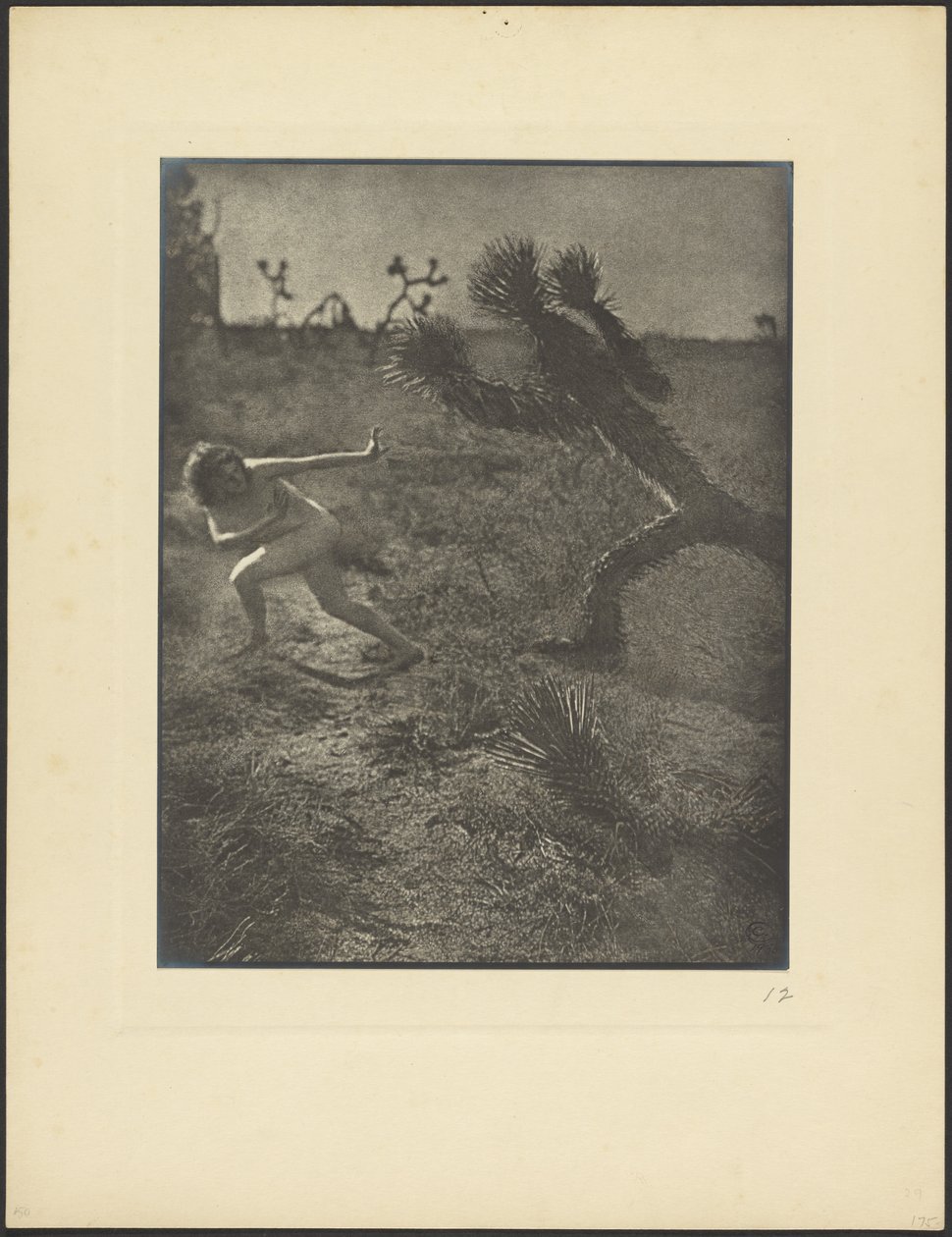 Bogey Man of the Desert autorstwa Louis Fleckenstein