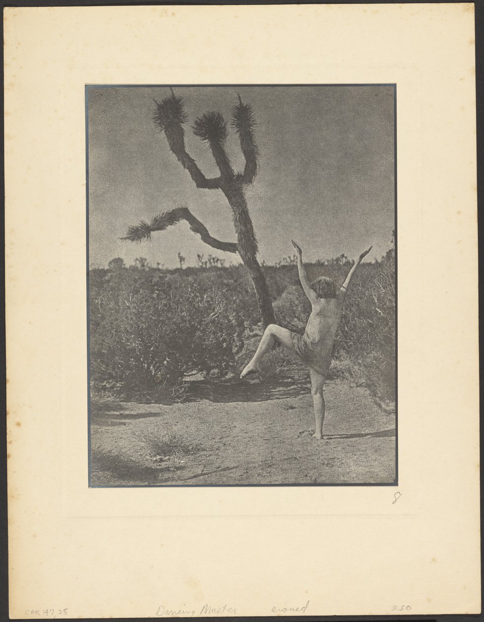 Dancing Master autorstwa Louis Fleckenstein