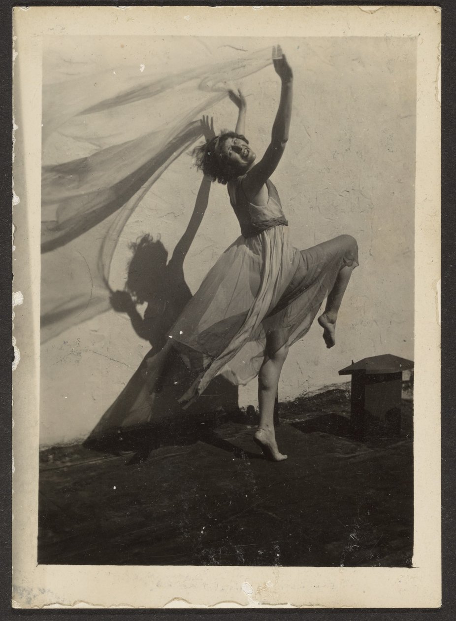 [Florence Dancing on Rooftop] autorstwa Louis Fleckenstein