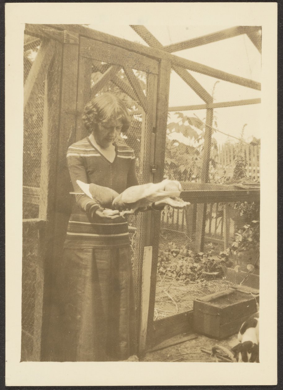 [Florence Feeding Pigeons] autorstwa Louis Fleckenstein