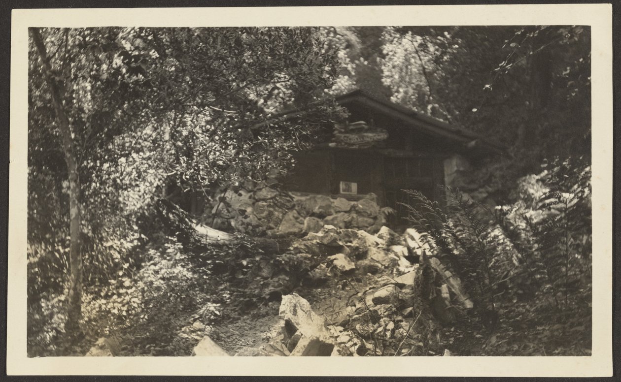 [Forest Lodge] autorstwa Louis Fleckenstein