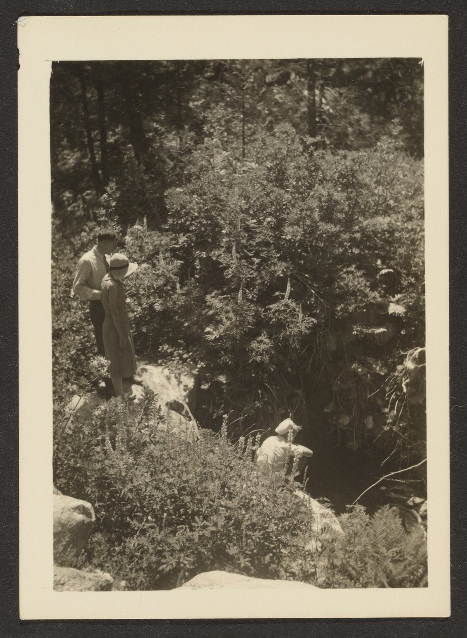 [Wiosna w Fern Valley] autorstwa Louis Fleckenstein