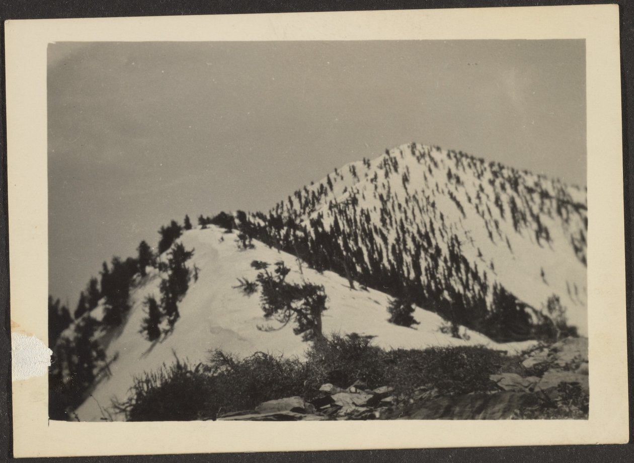 [Telescope Peak] autorstwa Louis Fleckenstein