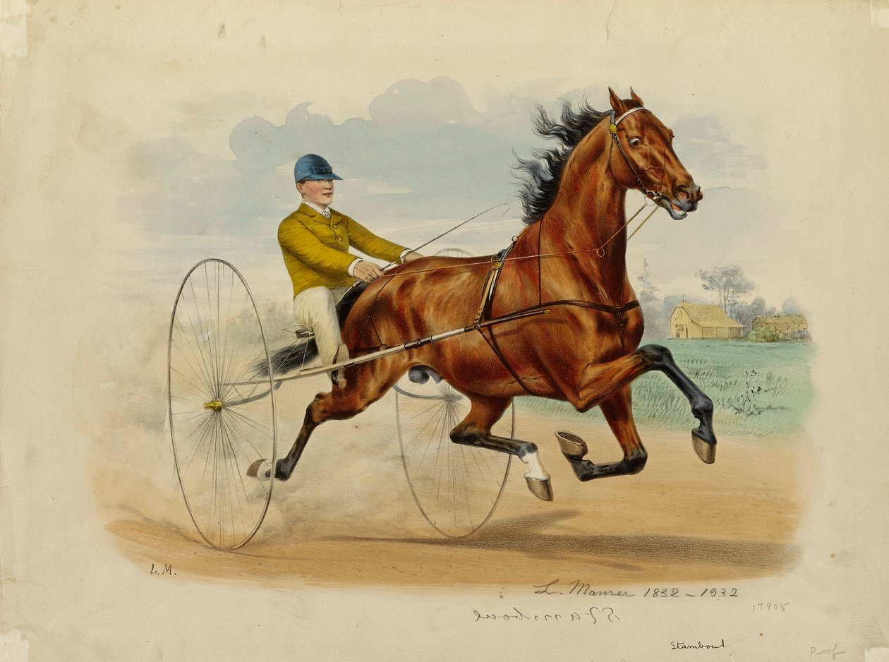 Stamboul autorstwa Louis Maurer