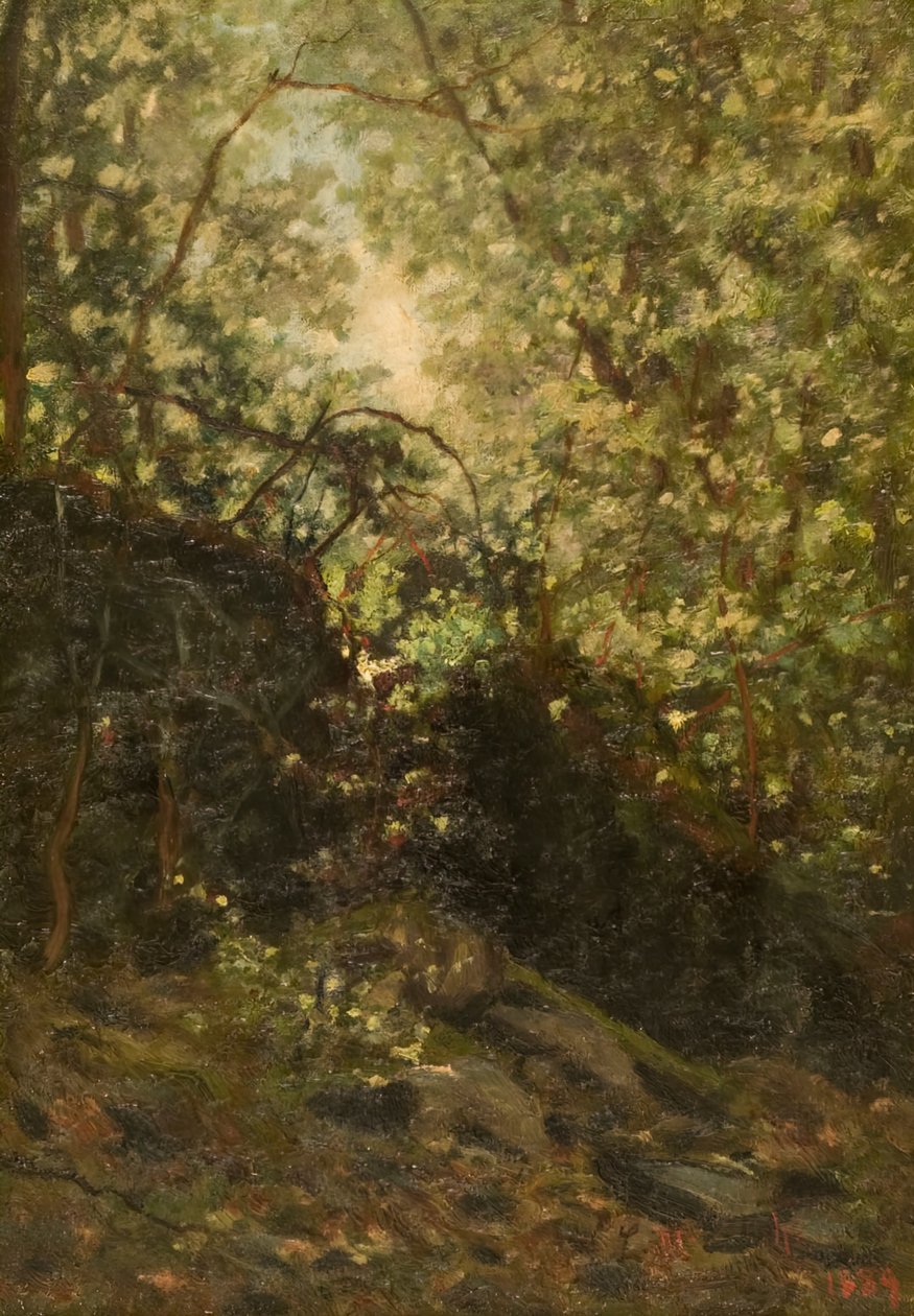 Noc przez las, 1889. autorstwa Louis Michel Eilshemius